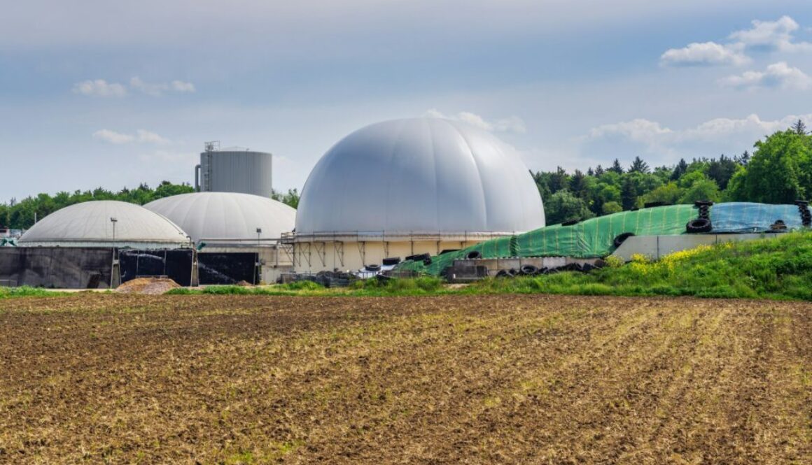 Bioenergie Definition