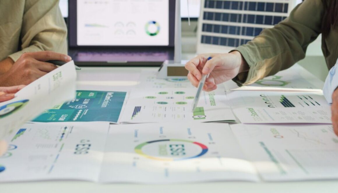 Nachhaltigkeitsziel Definition