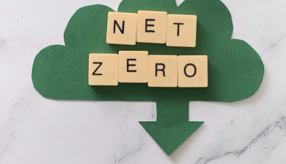 Kohlenstoffreduktion Definition