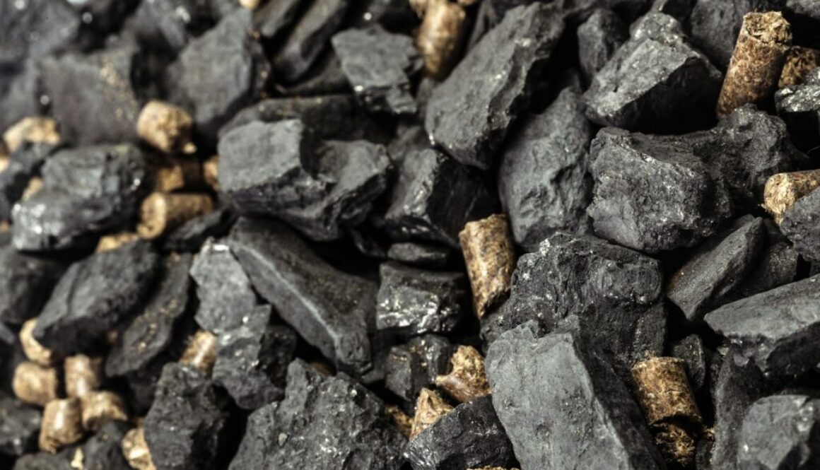 Wirtschaftliche Rentabilität von Biomasseanlagen: Ein realistischer Einblick