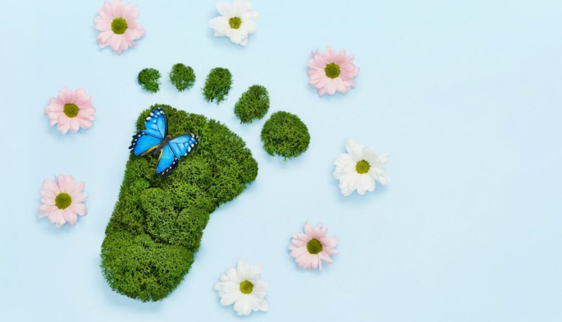 Ökologischer Fußabdruck Definition