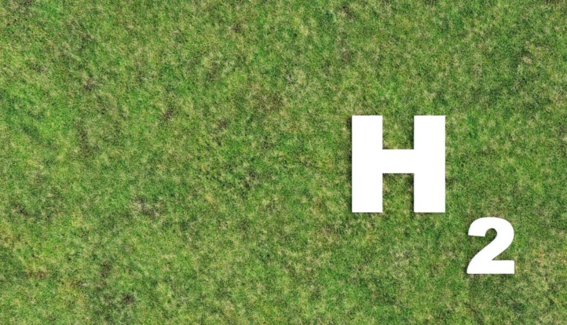 Grüner Wasserstoff: der saubere Brennstoff für eine CO₂-freie Zukunft