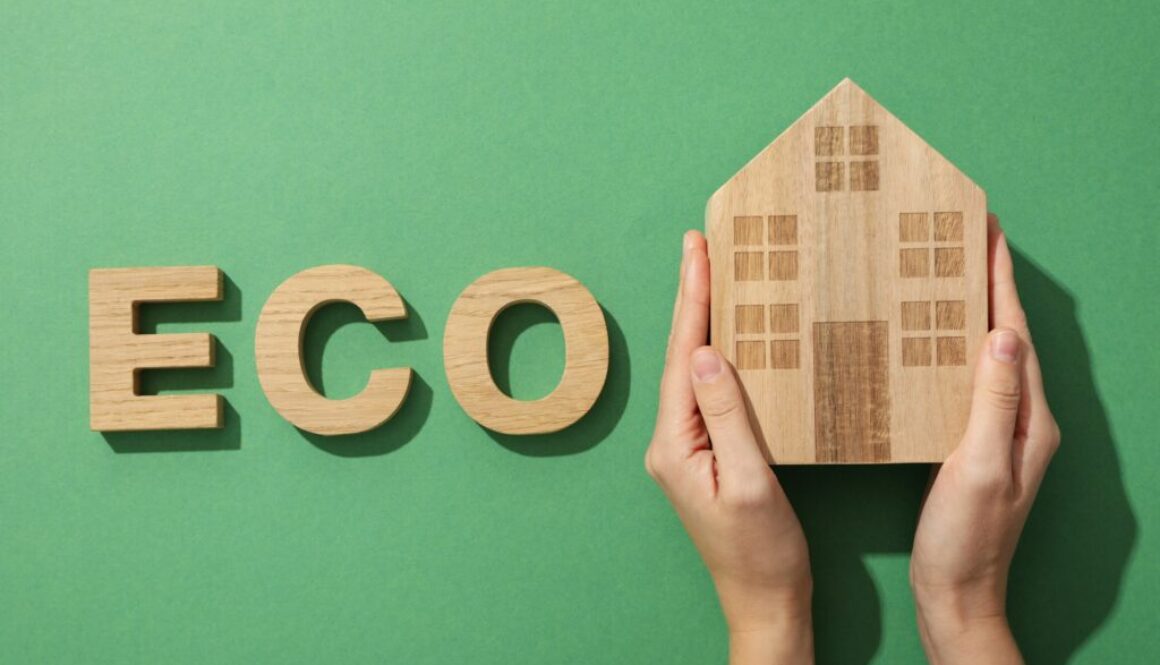 Effizienzhaus Definition