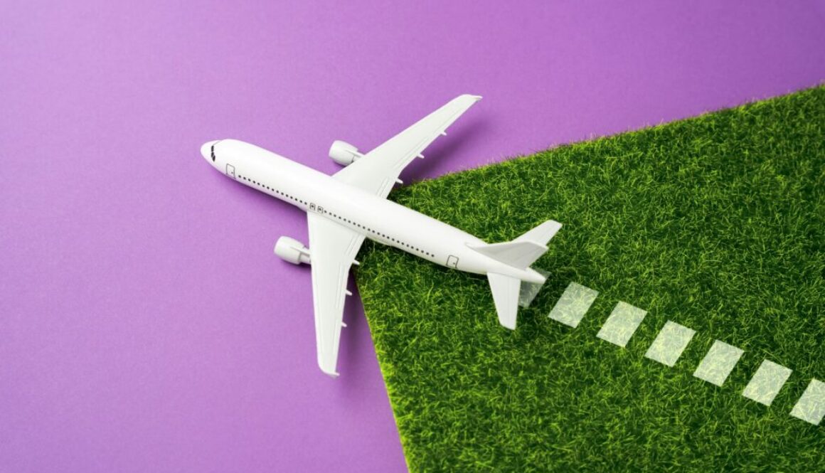 Emissionseinsparung Definition