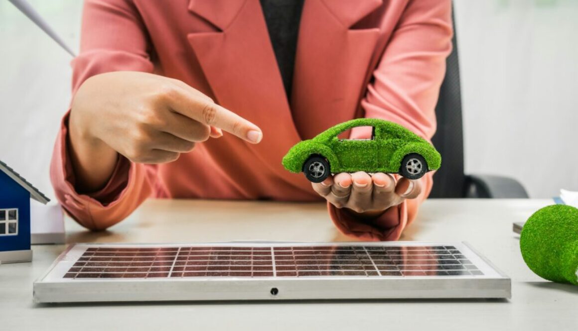 Grüne Investitionen Definition