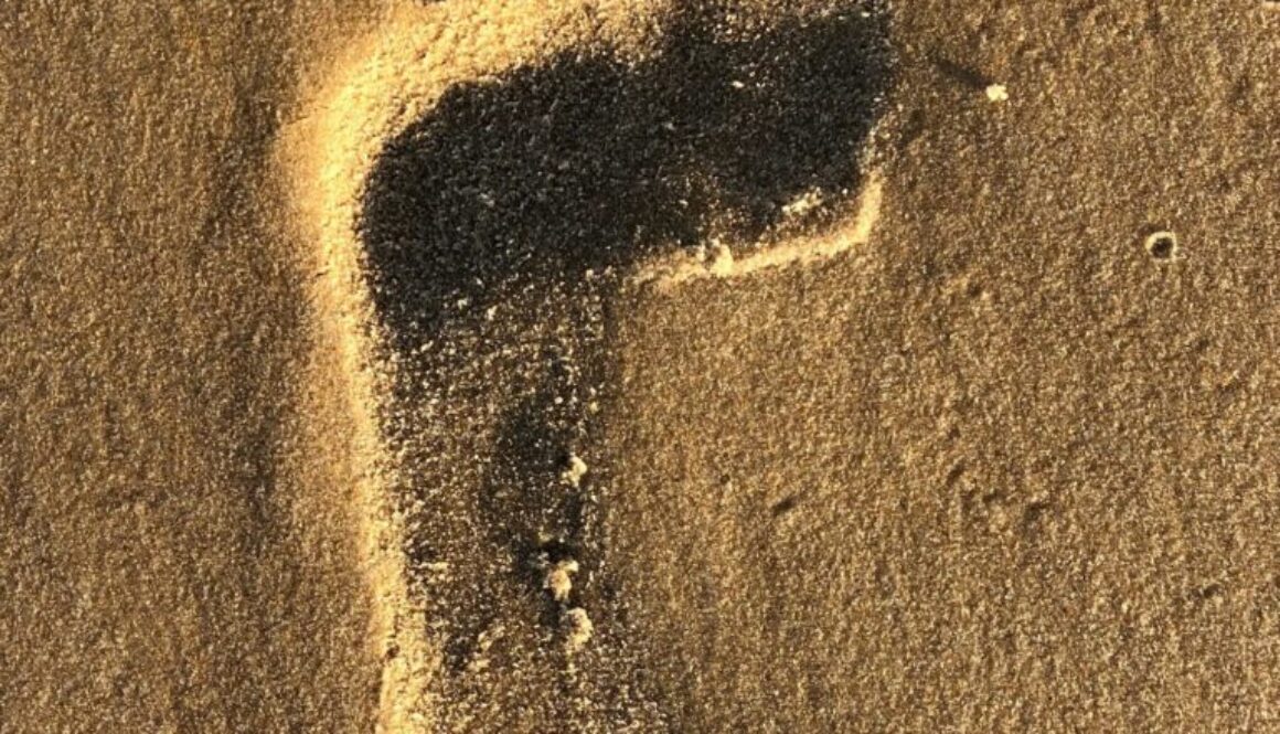 Carbon Footprint Definition