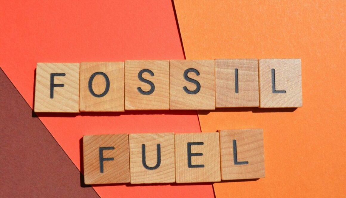 Erneuerbarer Brennstoff Definition