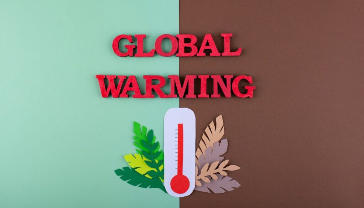 Klimaschutzprojekte Definition