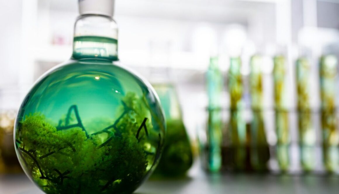 Biokraftstoffe Definition