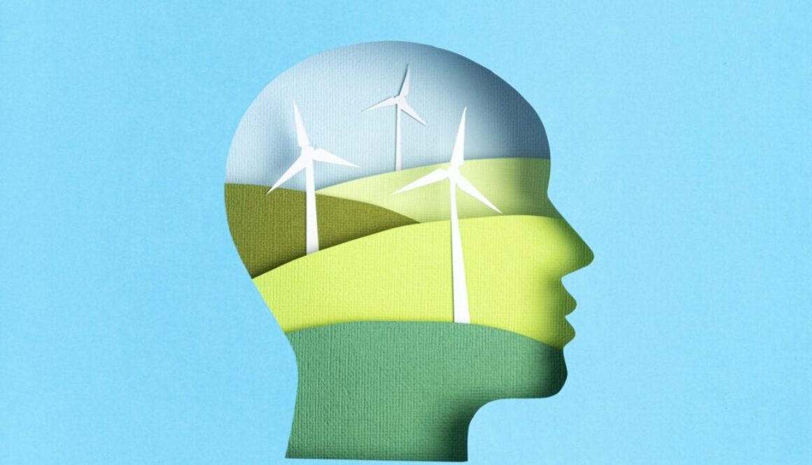 Erneuerbare Energiequelle Definition