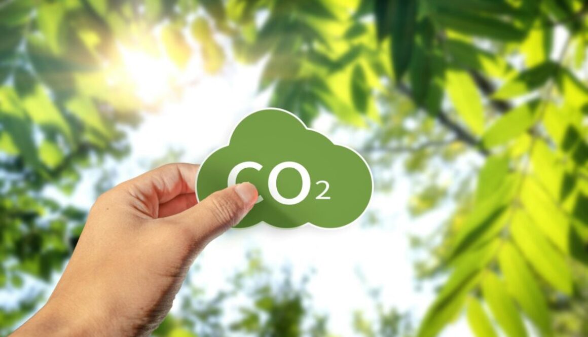 CO₂-Rückführung Definition