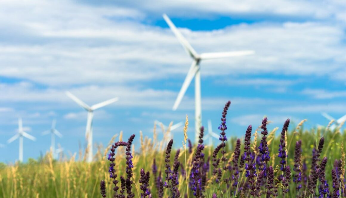 Optionen und Tipps für die Finanzierung von Windkraftanlagen