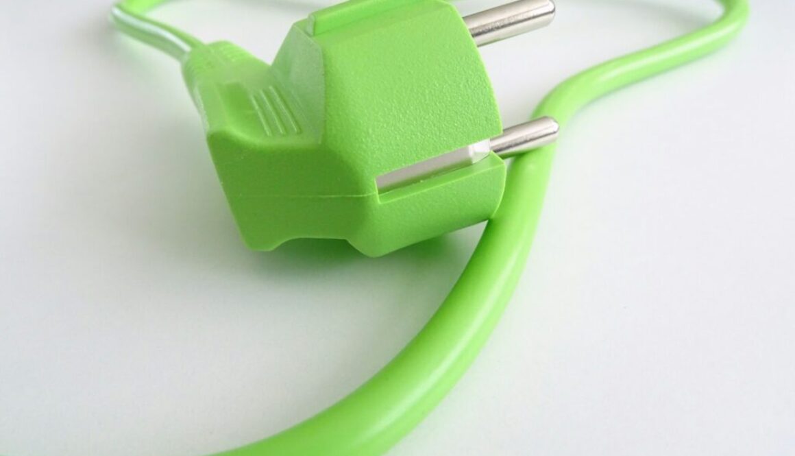 Ökostrom Definition