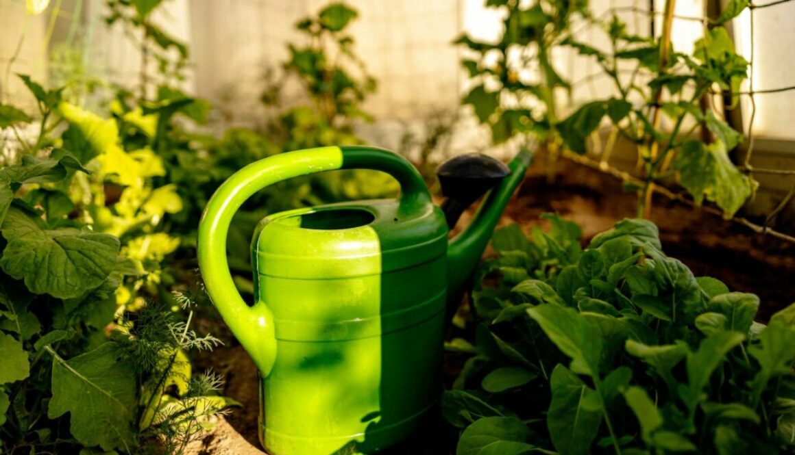 Ökologischer Landbau Definition