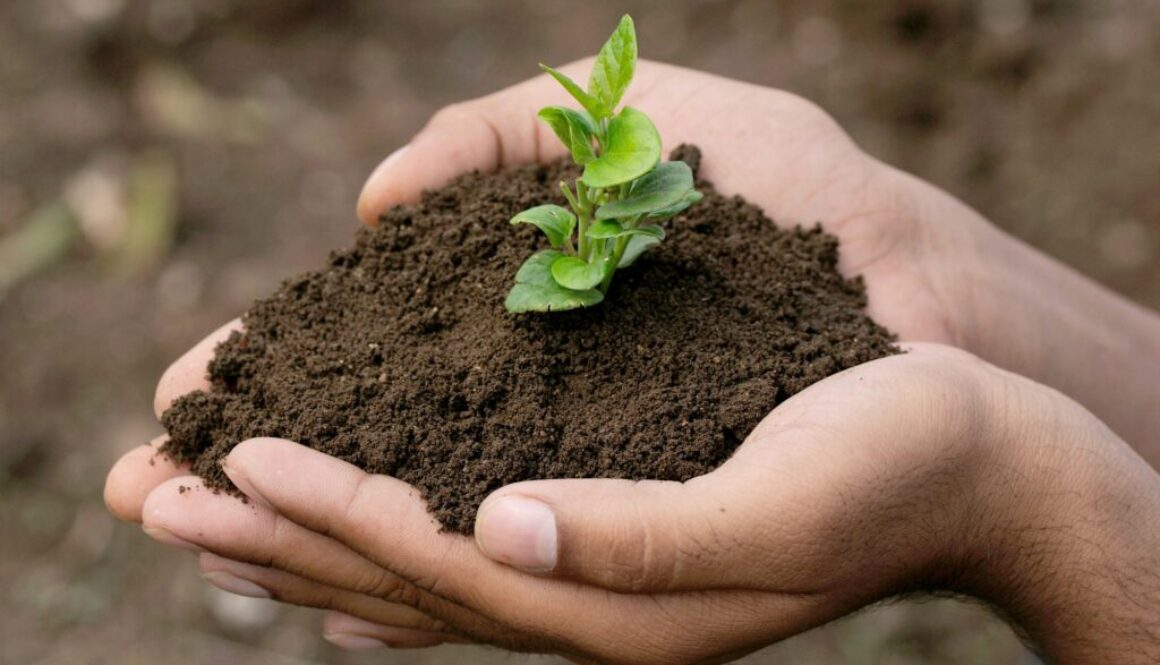 Nachhaltigkeitsindikator Definition