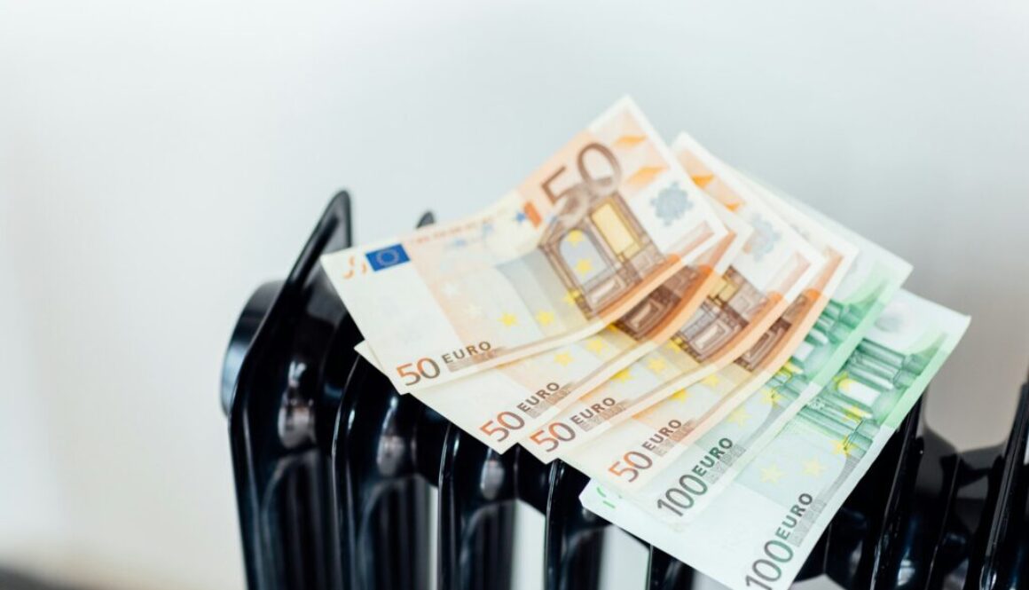 Energiepreisentwicklung Definition