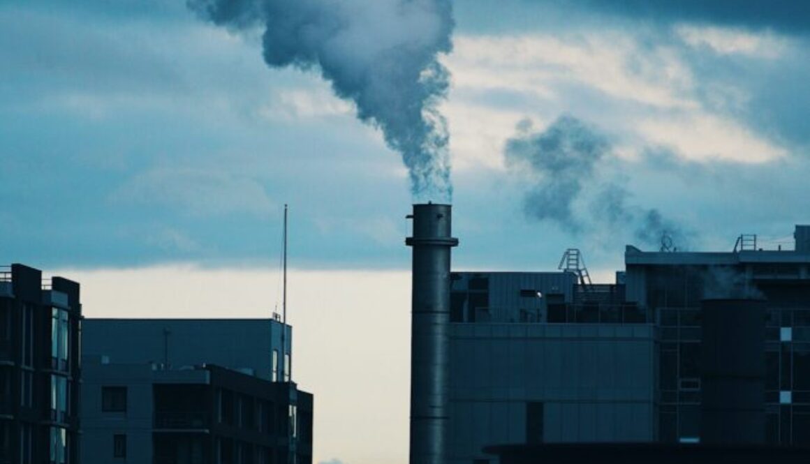 Brennstoffemissionen Definition