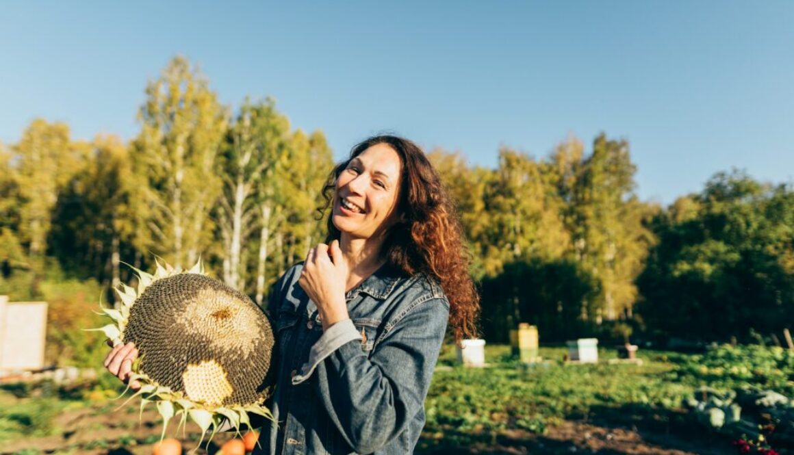 Erntefaktor Definition