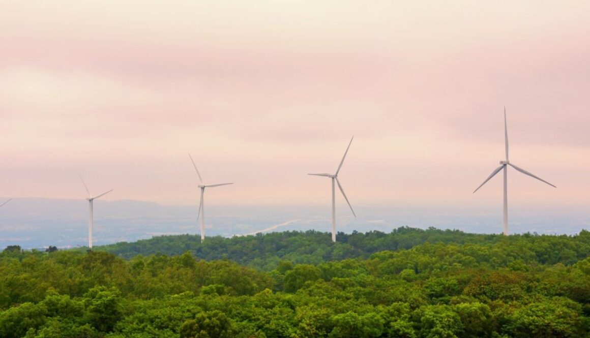 Einspeisevergütung für Windenergie: Ist die Einspeisung ins Netz lohnenswert?