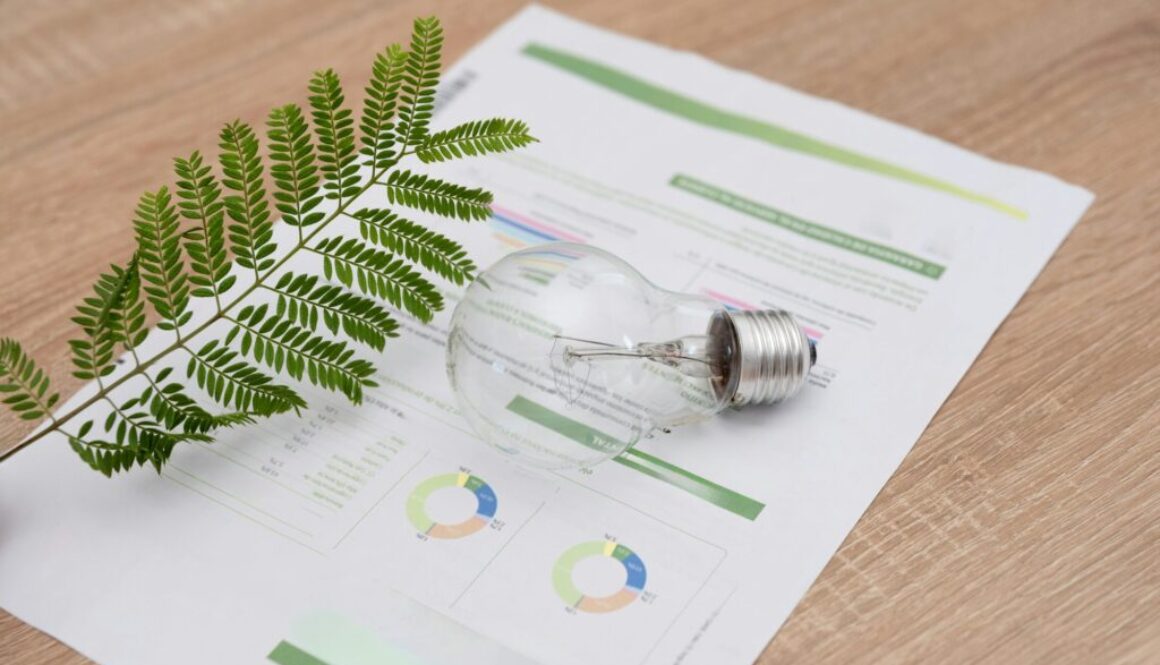 Energieverbrauch Definition