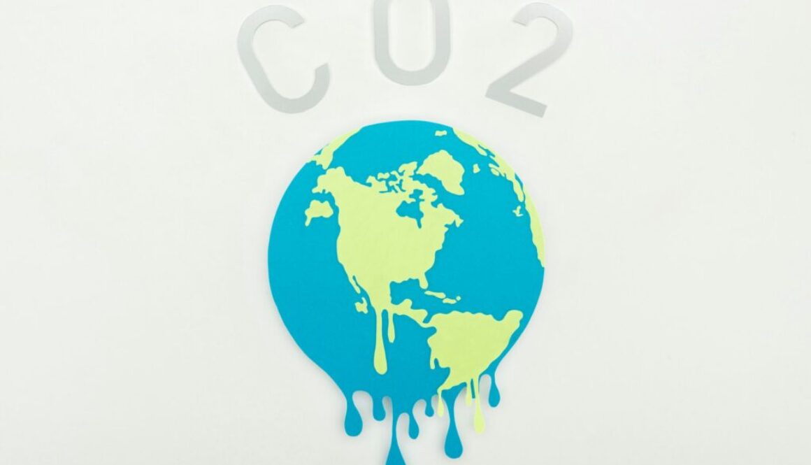 CO₂-Kompensation Definition