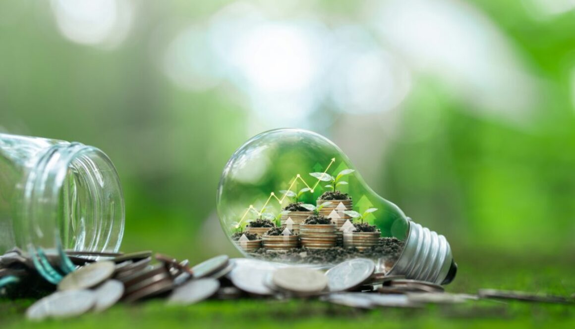 Energiepreis Definition