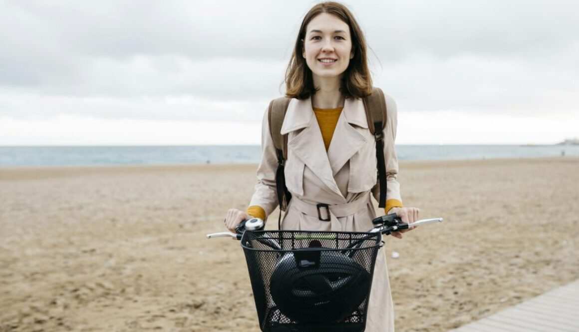 Elektromobilitätsstrategie Definition