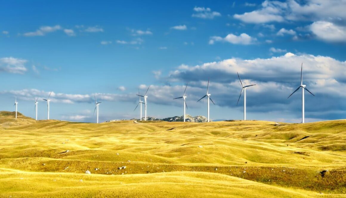 Klimaschutz Definition