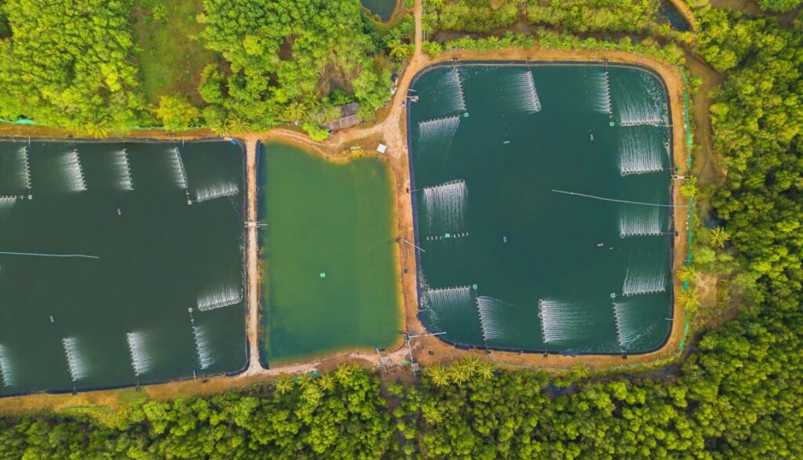 Wasserkraft Definition