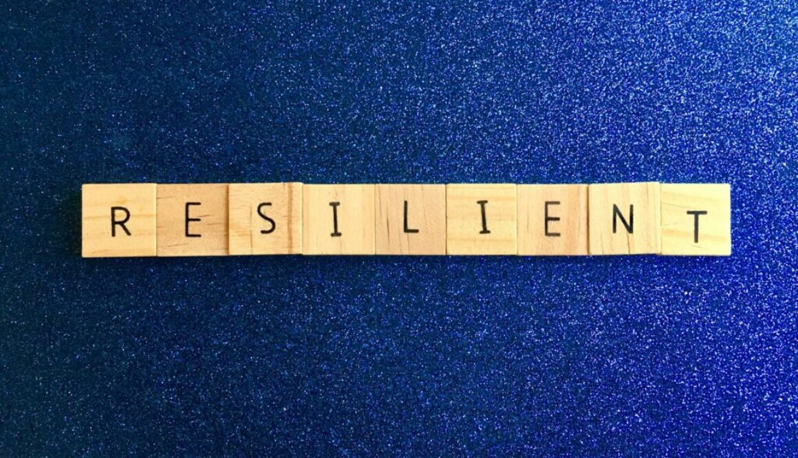 Resilienz Definition