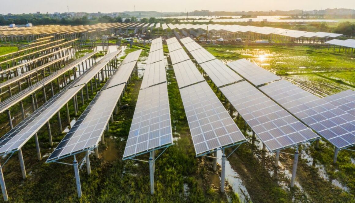 Solarpanel Definition