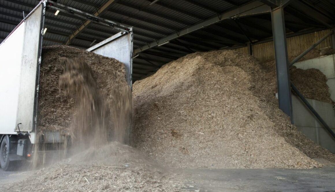 Kosten eines Biomassewerks: Was Sie beim Kauf erwarten können