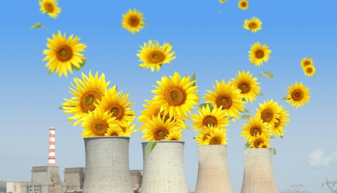 Bioenergiepflanzen Definition