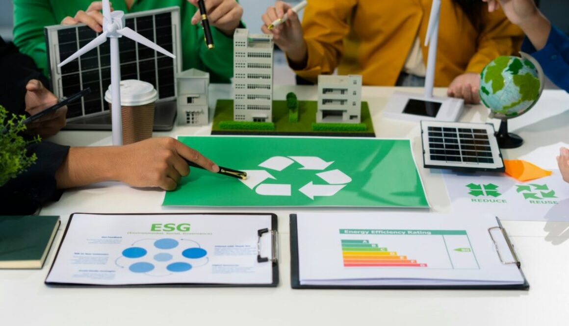 Effizienzstandard Definition