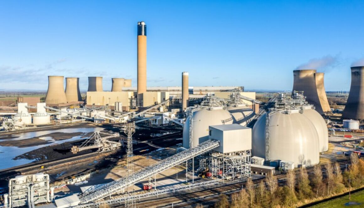 Biomasseanlagen Überblick: Struktur und Funktion