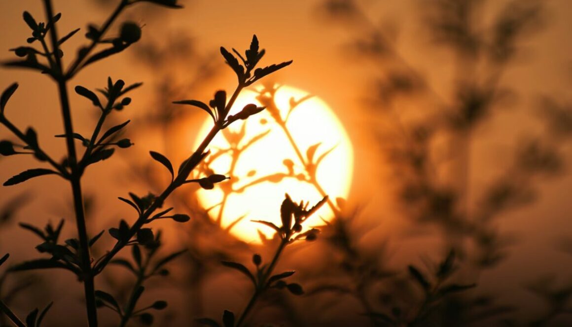 Sonnenenergie Definition