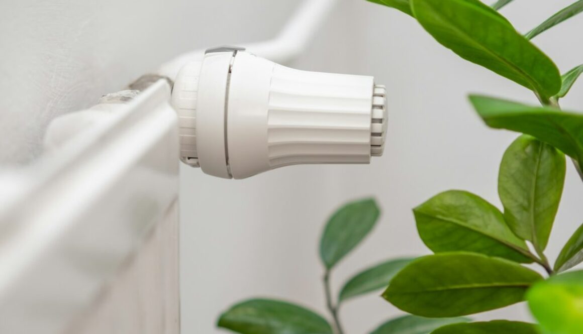 Erneuerbare Wärme Definition