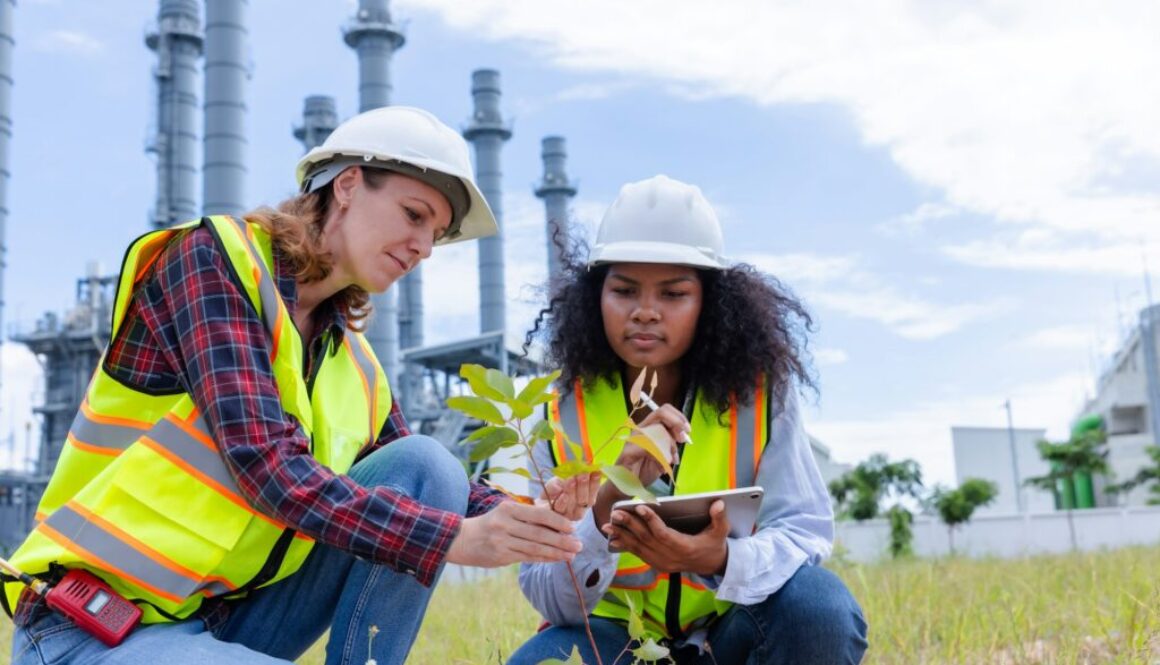 Ökologische Bewertung Definition
