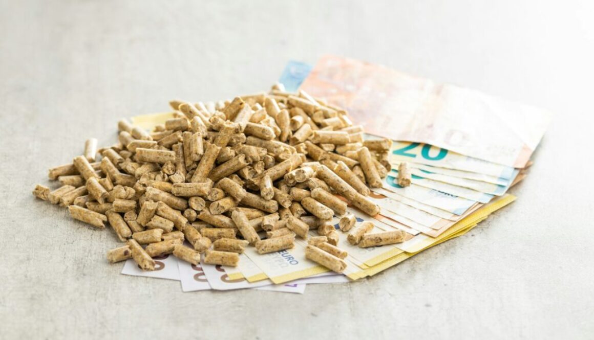 Wartungskosten für Biomasseanlagen: Ein Überblick