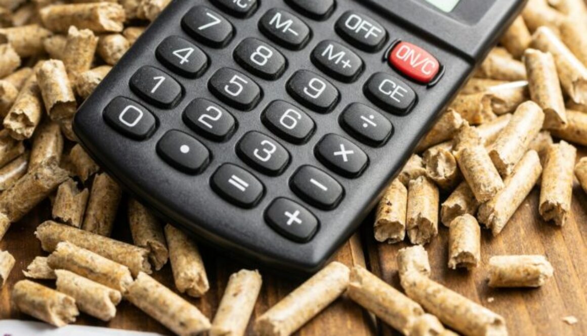 Investieren in Biomasse: Chancen und Risiken für Investoren