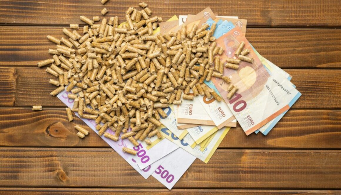 Amortisationszeiträume für Biomasseanlagen