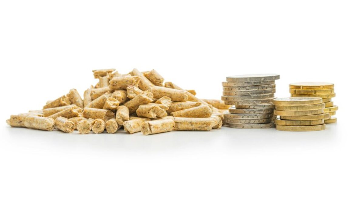 Installation eines Biomassewerks: Verfahren und Anforderungen