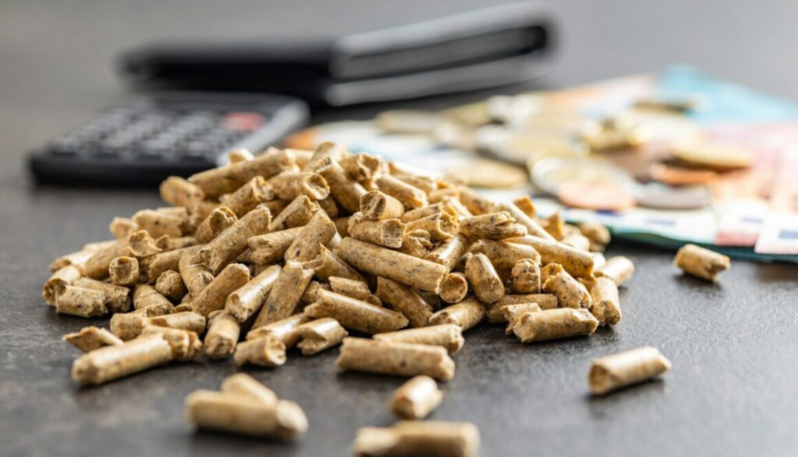 Finanzierung von Biomasseanlagen: Optionen und Zuschüsse