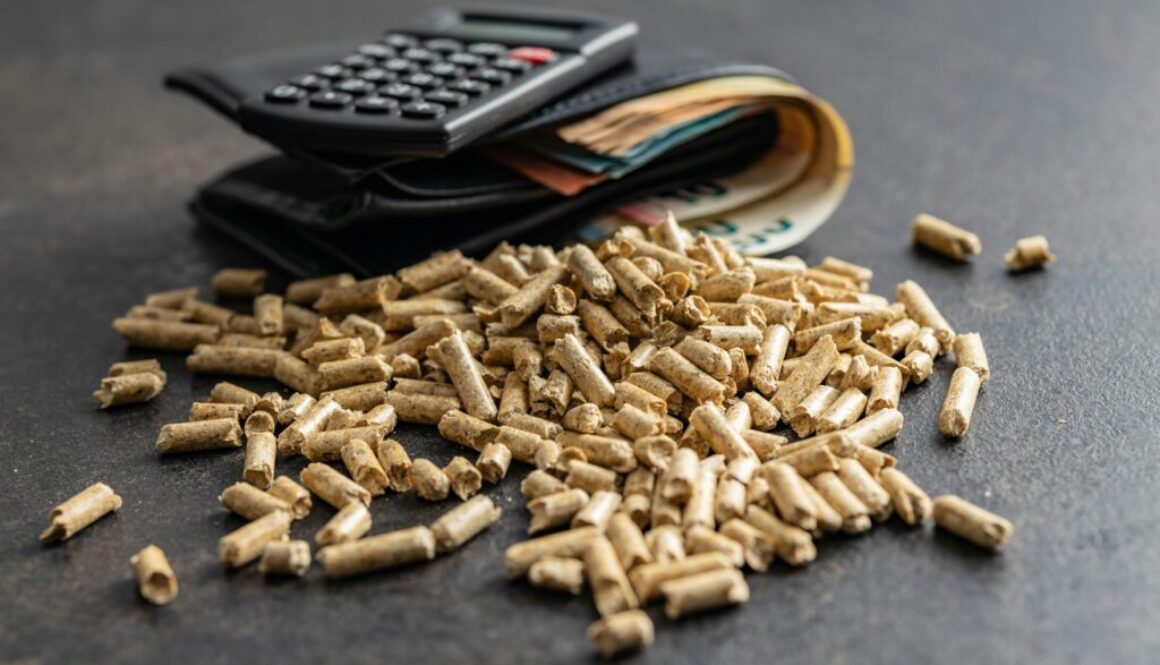 Versicherung für Biomasseanlagen: Worauf Sie achten sollten