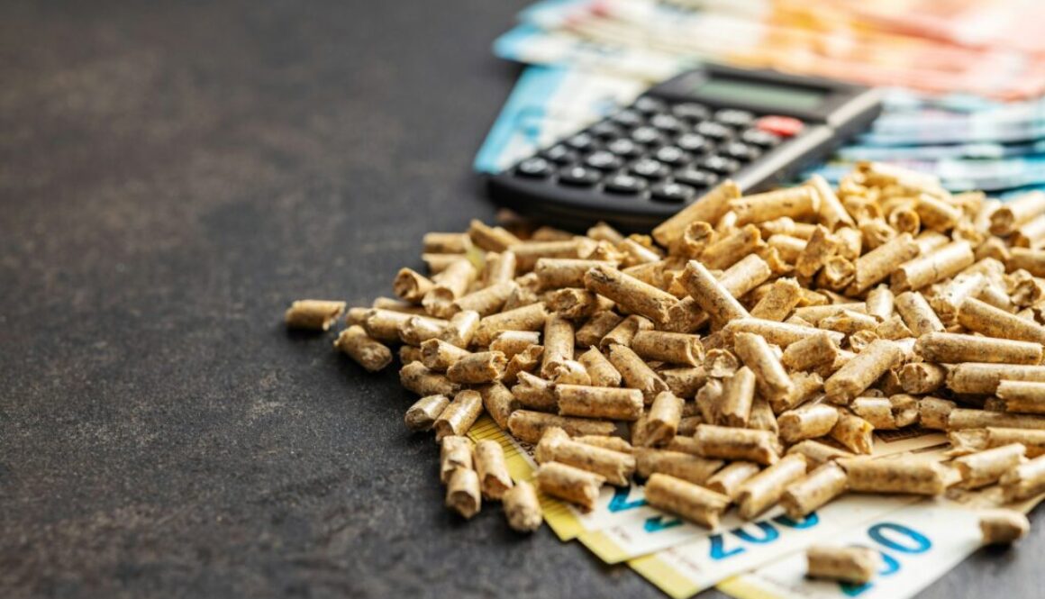 Was Sie als Investor über Biomasse und Steuervergünstigungen wissen müssen