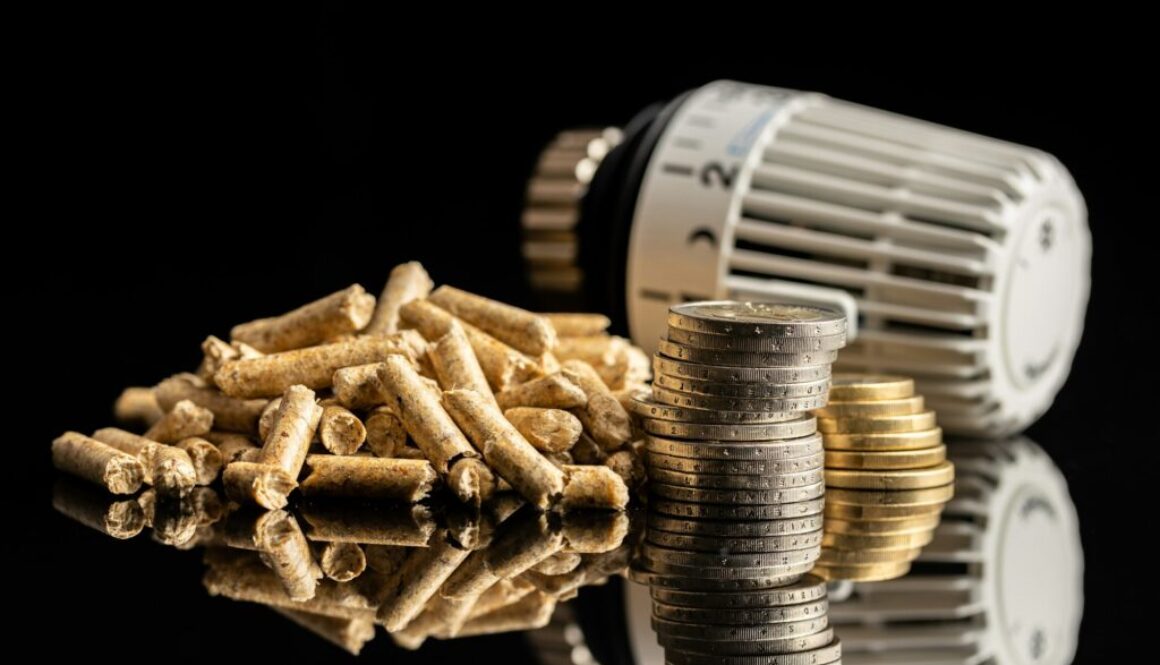 Biomasse für den Eigenverbrauch: Lohnt es sich für mich?