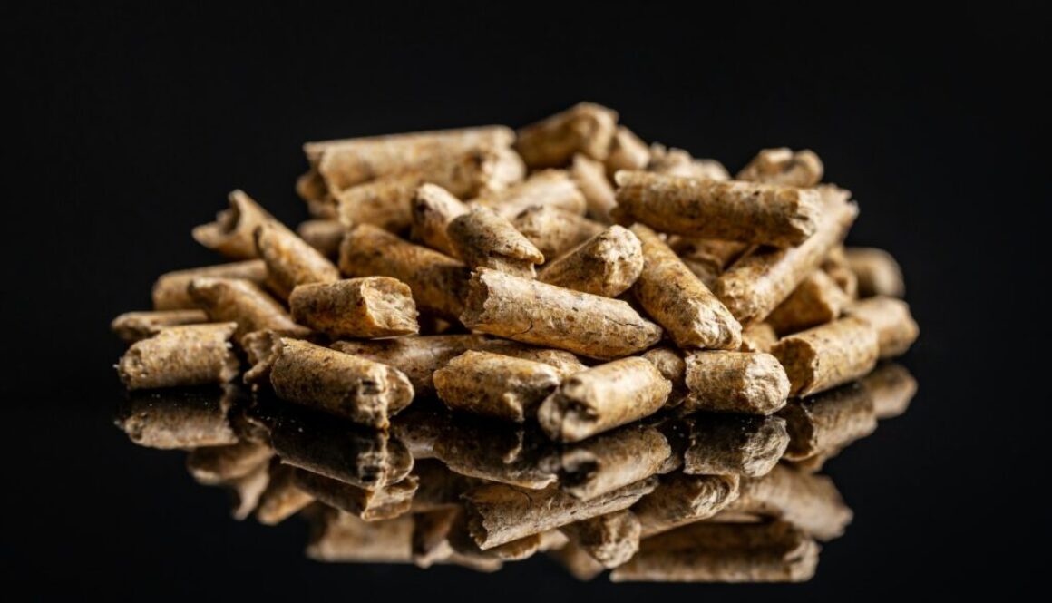 Einspeisevergütung für Biomasse: Was gibt es pro kWh?