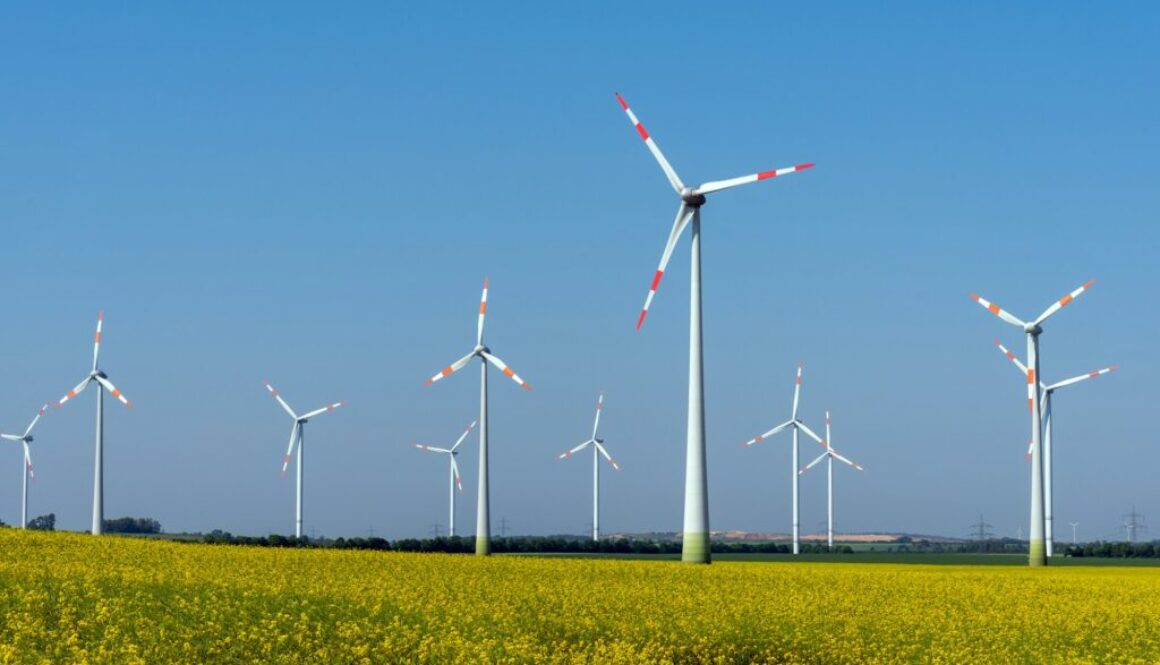 Windturbinenanbieter im Vergleich: Wer ist der beste Partner?