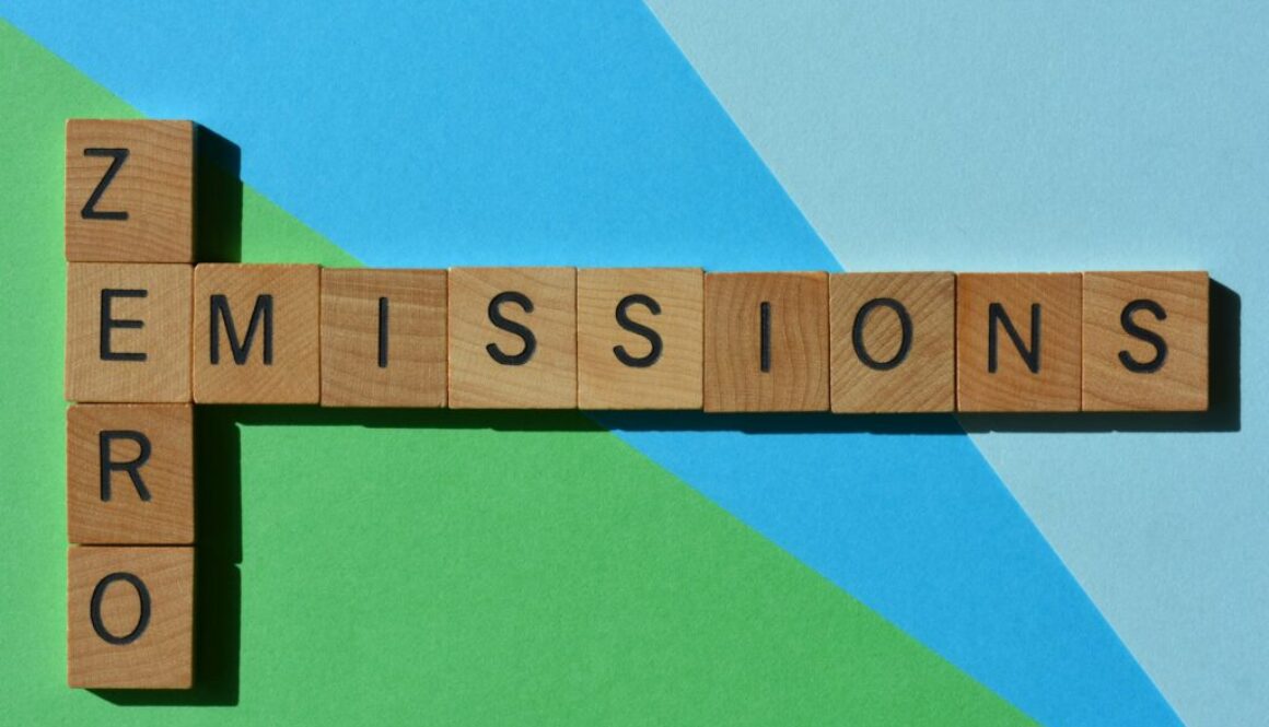 Nullemission Definition